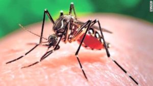 Mulher grávida preocupada e mosquito Aedes aegypti simbolizando o Zika Vírus