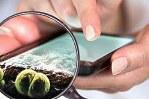 Você sabe quantas bactérias tem em seu celular?